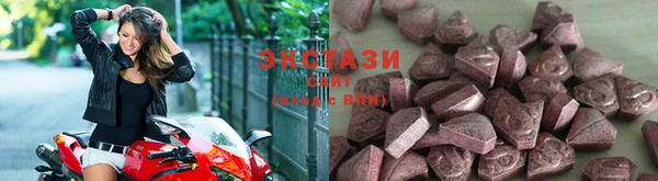 индика Заводоуковск