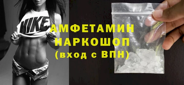 индика Заводоуковск