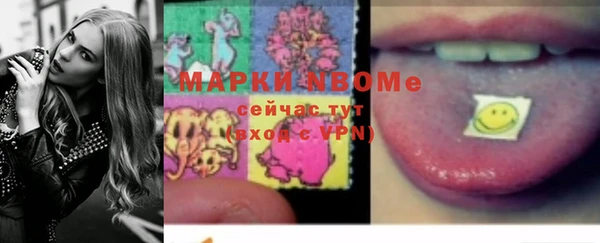 индика Заводоуковск