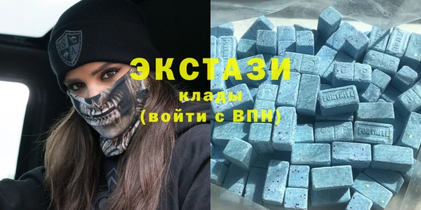 индика Заводоуковск