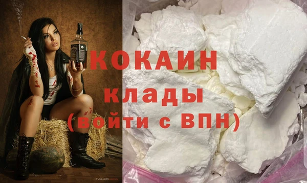 индика Заводоуковск