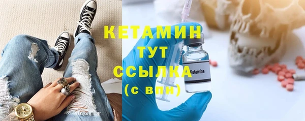 индика Заводоуковск