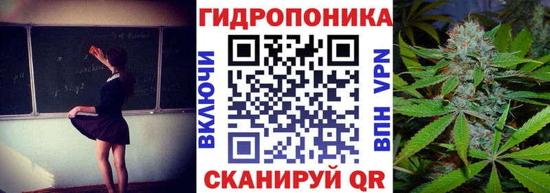 это формула Новоржев МАРИХУАНА ГИДРОПОН что такое